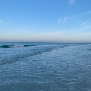 Meet your Posher, Jarrett